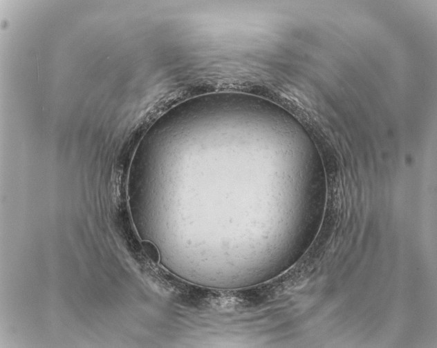 X0000087390695200705042011