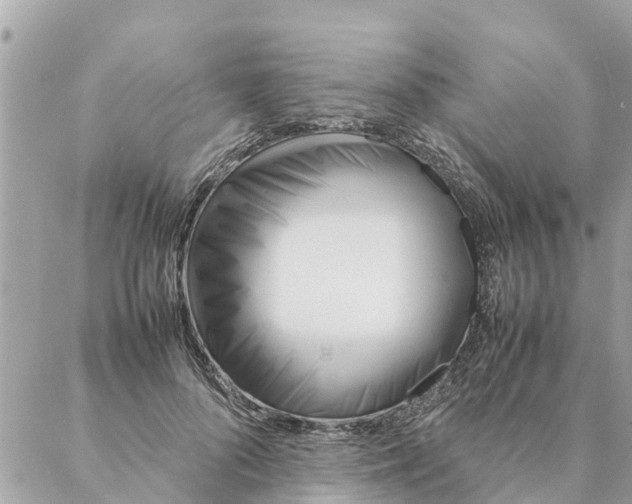 X0000087390696200705042011