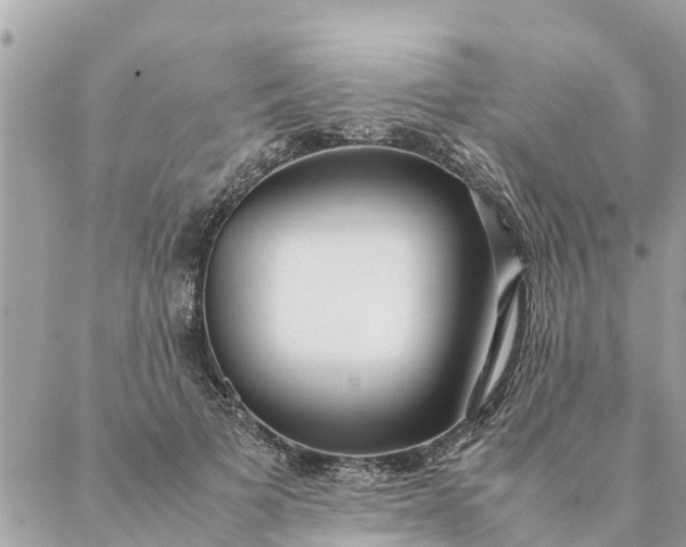 X0000087390697200705042011