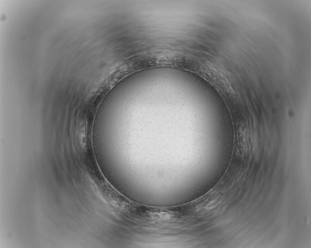 X0000087390698200705042011