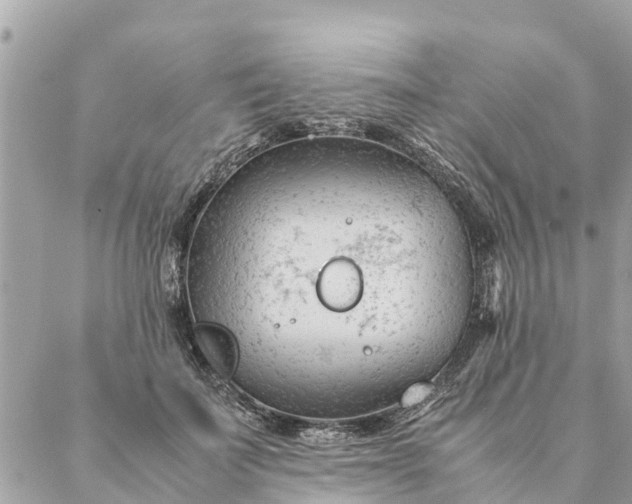 X0000087390699200705042011