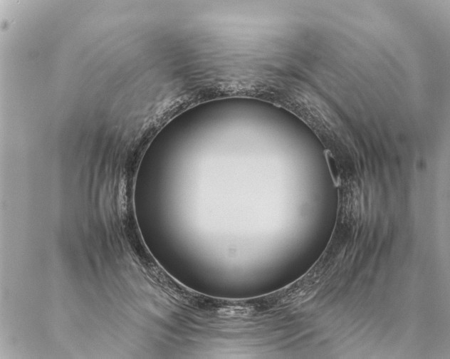 X0000087390700200705042011