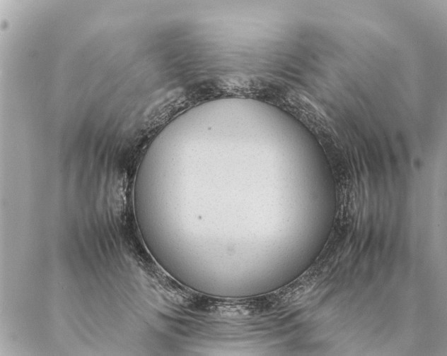 X0000087390702200705042010