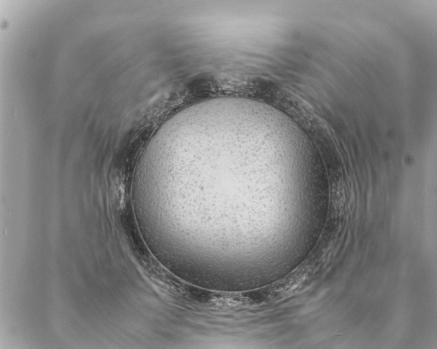 X0000087390703200705042010