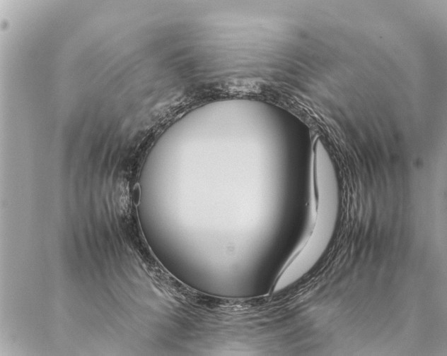 X0000087390704200705042010