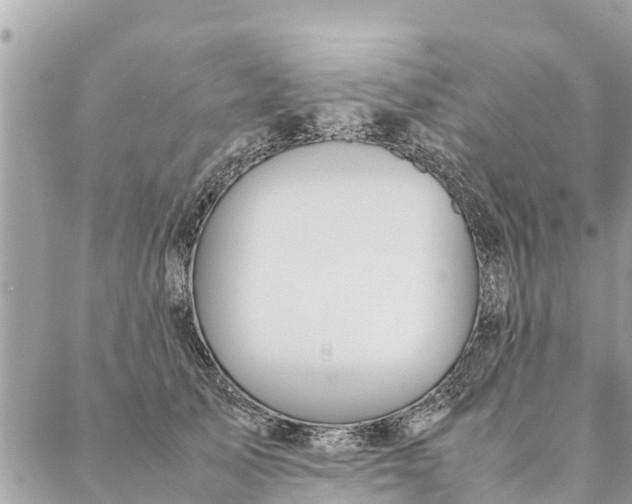 X0000087390705200705042010