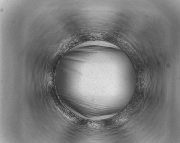 X0000087390706200705042010