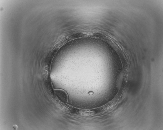 X0000087390707200705042010