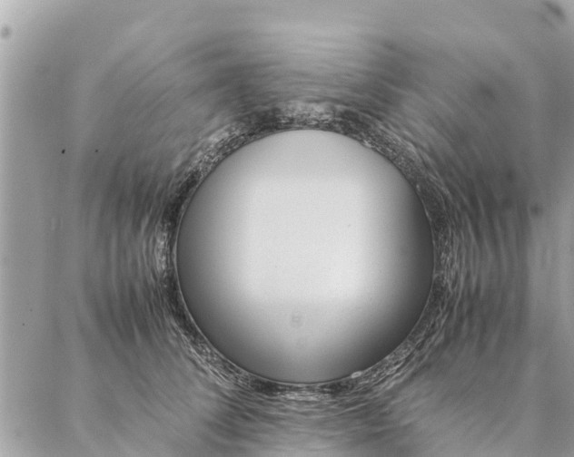 X0000087390708200705042010