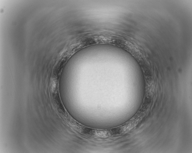 X0000087390709200705042010