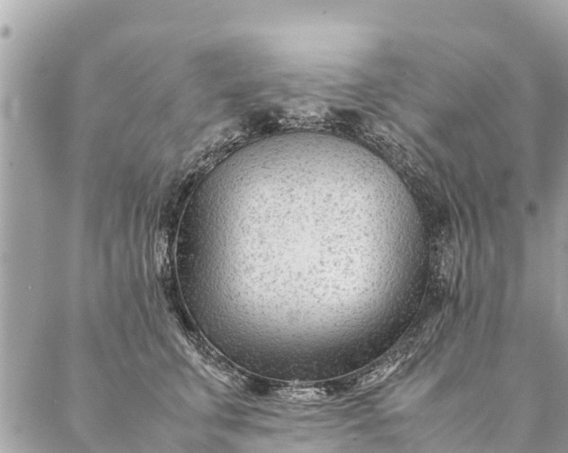 X0000087390711200705042010