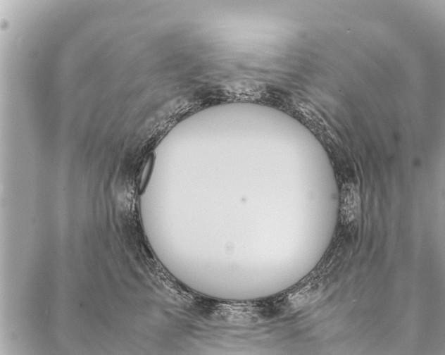 X0000087390713200705042010