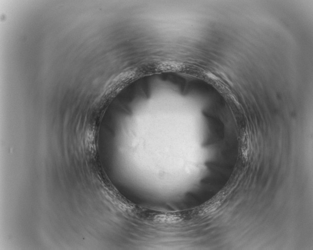 X0000087390714200705042010