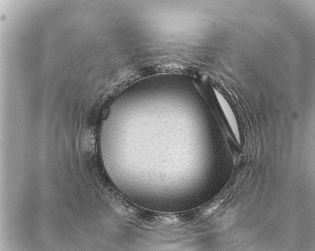 X0000087390715200705042010