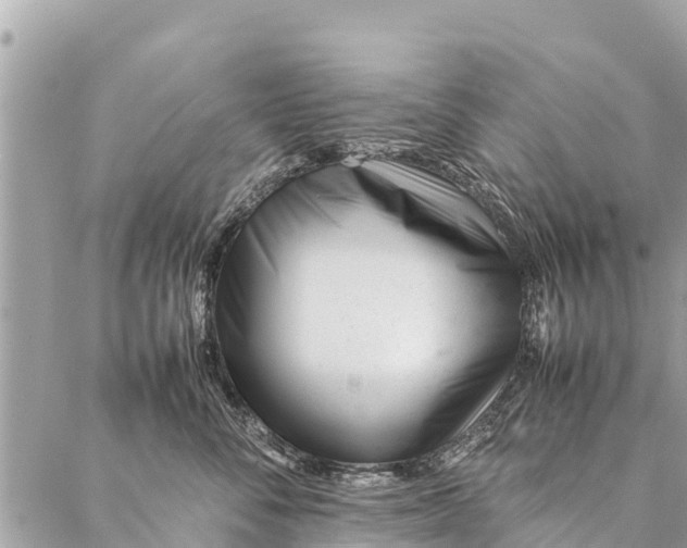 X0000087390716200705042010