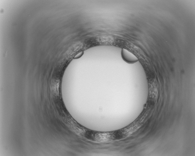 X0000087390717200705042010