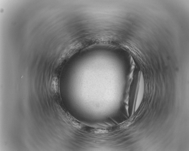 X0000087390718200705042010