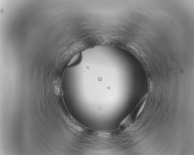 X0000087390719200705042010