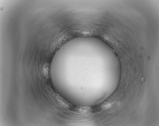 X0000087390720200705042010