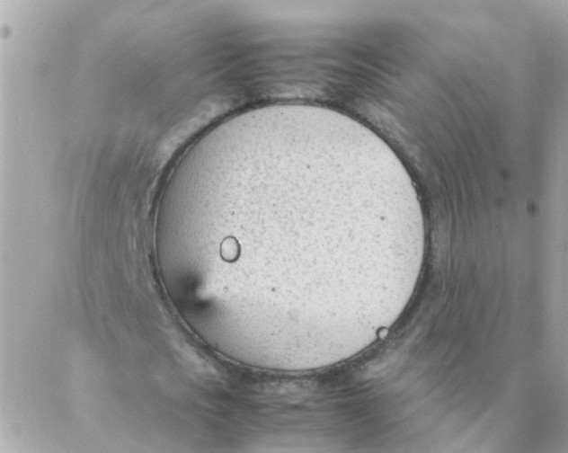 X0000087390721200705042009