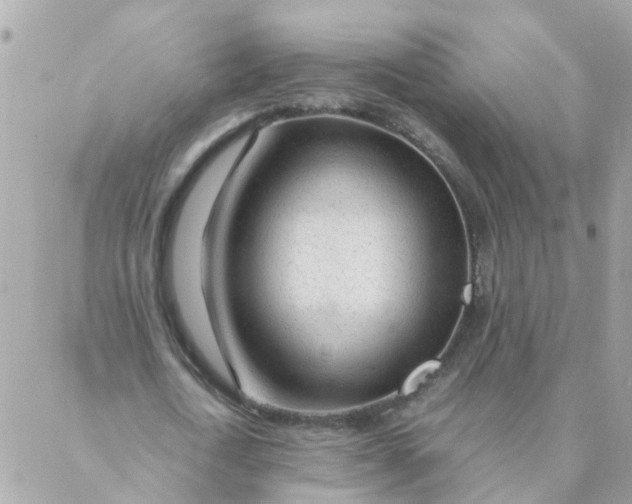 X0000087390722200705042009