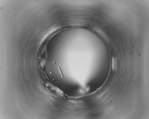 X0000087390723200705042009