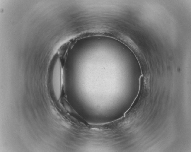 X0000087390724200705042009