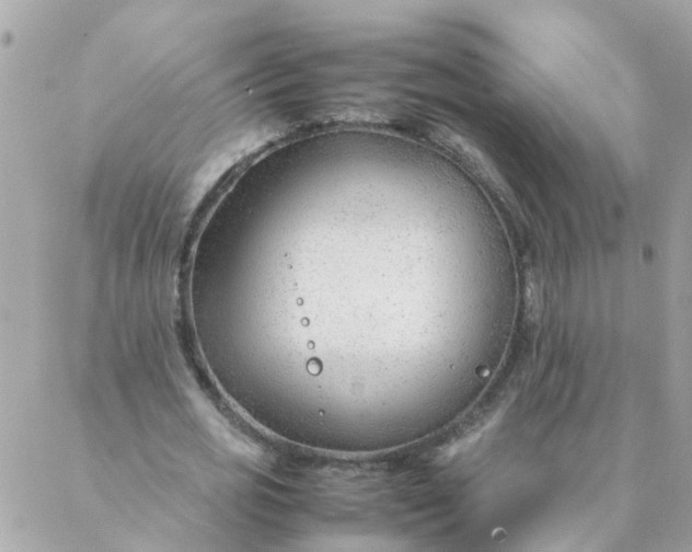 X0000087390725200705042009