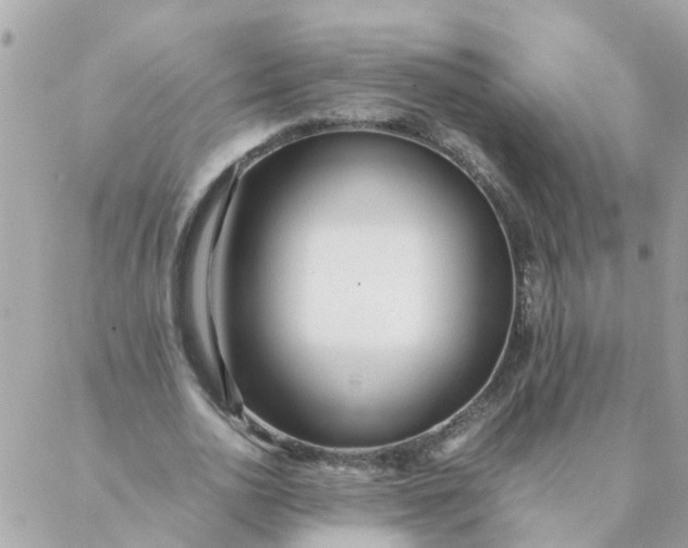 X0000087390726200705042009