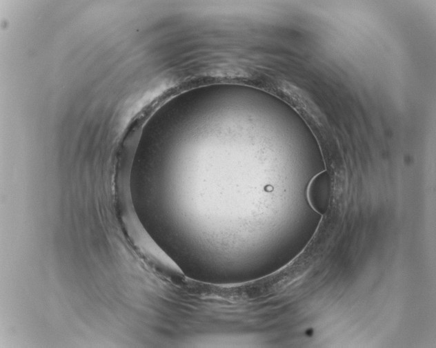 X0000087390727200705042010