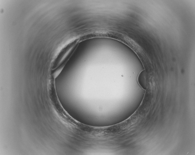 X0000087390728200705042010