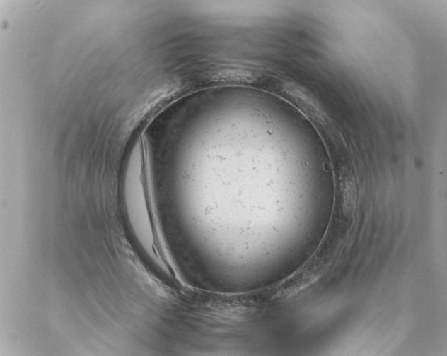 X0000087390729200705042010