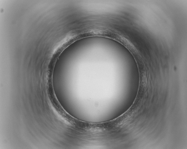 X0000087390730200705042010