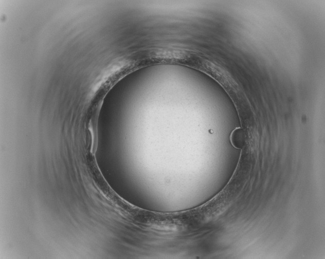 X0000087390731200705042010