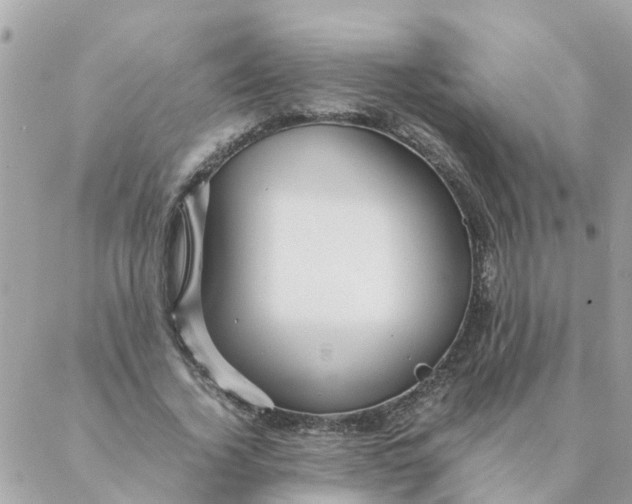 X0000087390732200705042010