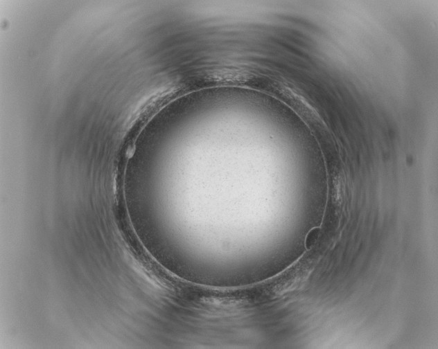 X0000087390733200705042010