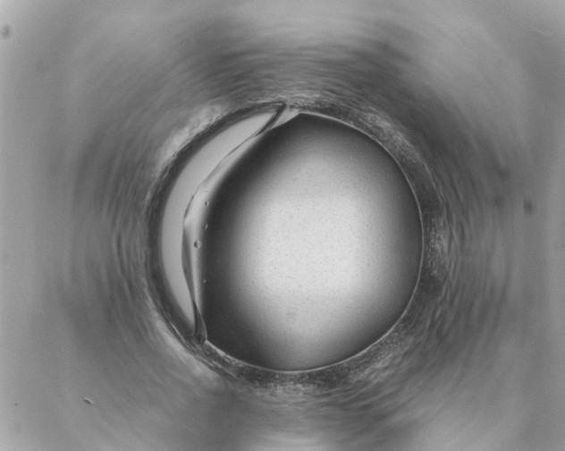 X0000087390734200705042010