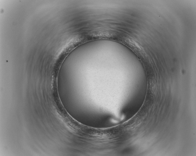 X0000087390735200705042010