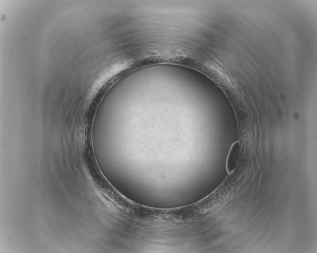 X0000087390736200705042010