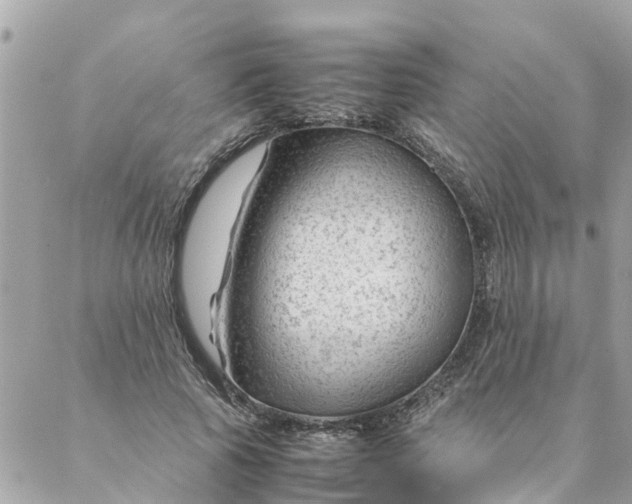 X0000087390737200705042010