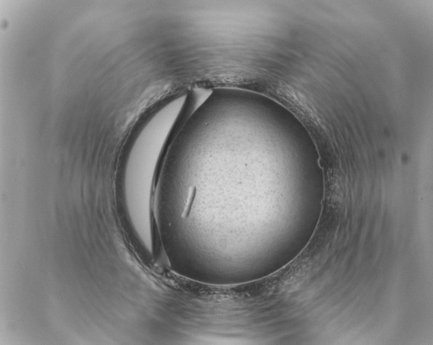 X0000087390738200705042010