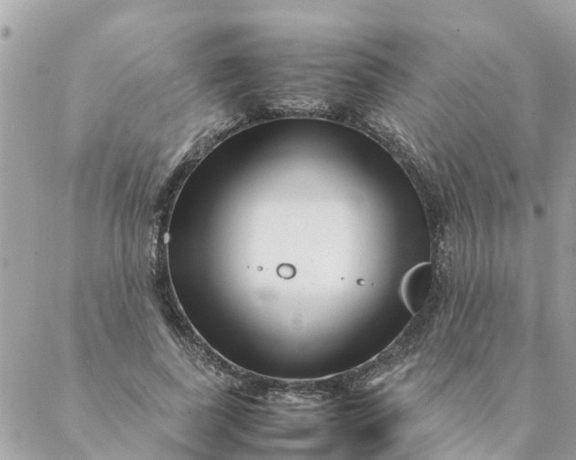 X0000087390739200705042010