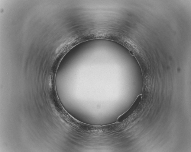 X0000087390740200705042010