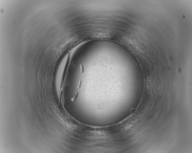 X0000087390741200705042010