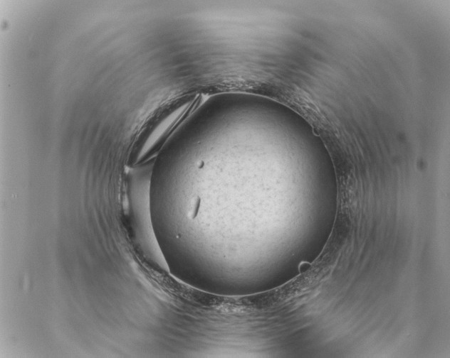 X0000087390742200705042010