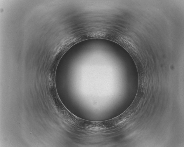 X0000087390743200705042010