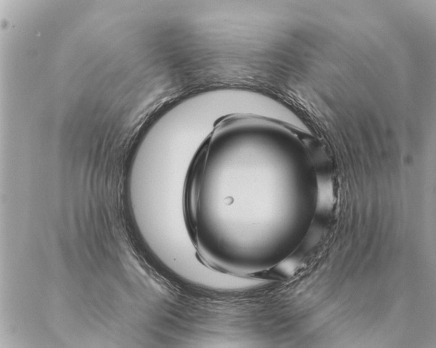 X0000087390744200705042010