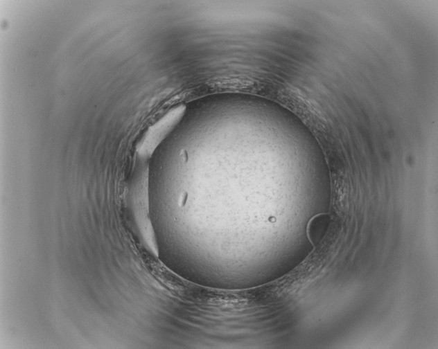 X0000087390745200705042010