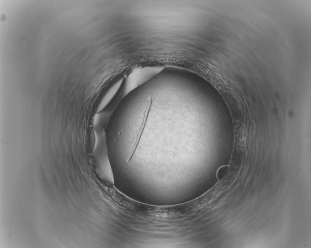 X0000087390746200705042010