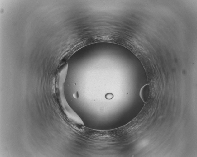 X0000087390747200705042010